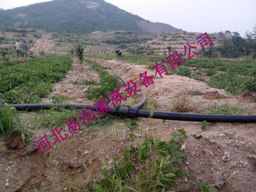 果园灌溉配套设备 沁县梨树小管出流批发