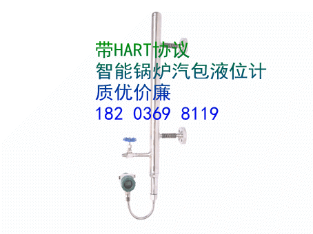 智能电容式锅炉汽包液位计带HART协议FRD-8031