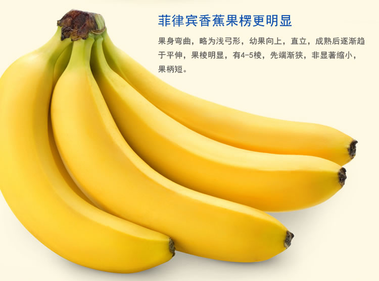 印度尼西亚香蕉等水果清关代理公司