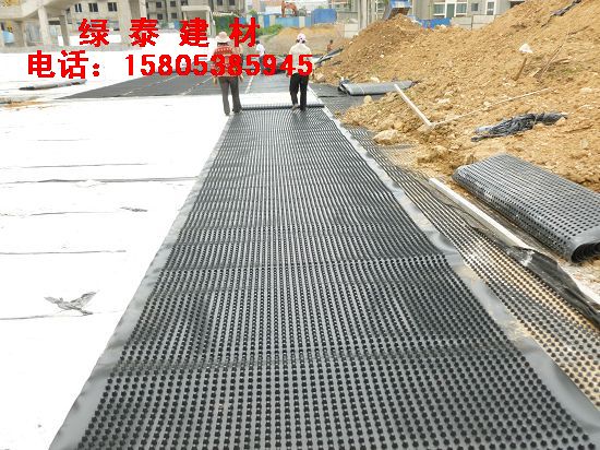 【桂林小区地下室排水板】建筑塑料排水板