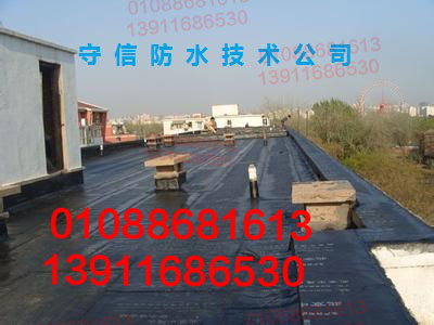 北京海淀区专业屋顶防水公司施工价格
