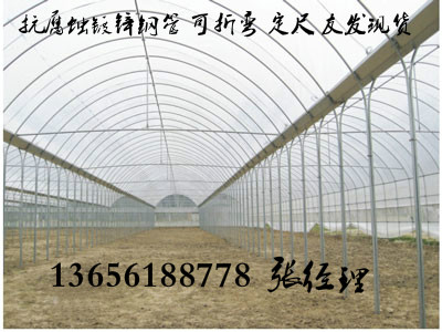 荆州江陵大棚钢管 农业蔬菜大棚管