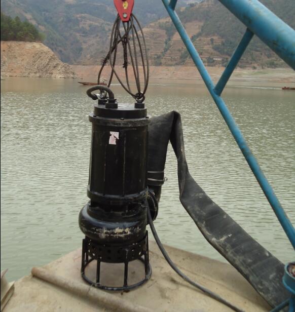 耐磨潜水砂泵-电机与泵潜入水下作业