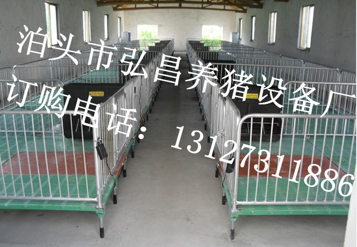 厂家直销养猪设备保育栏双体复合保育床尺寸