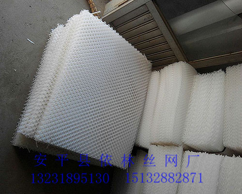 辽宁2米高白色纯料塑料养鹅网厂家/江西塑料养鸭网价格