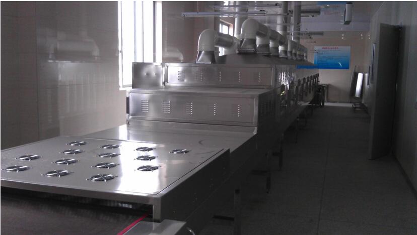 芒果干微波烘干机_小型干燥机价格_微波设备专业厂家定制