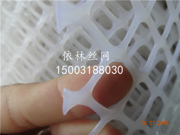 辽宁2米高白色纯料塑料养鹅网厂家塑料养鸭网价格