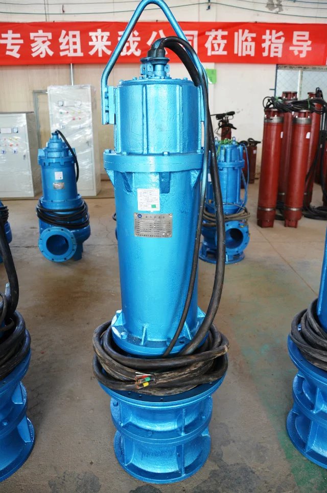 天津潜水轴流泵|天津潜水轴流泵型号|天津潜水轴流泵价格