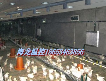 【HL-1肉鸡养殖供暖锅炉设备】质量好,价格低