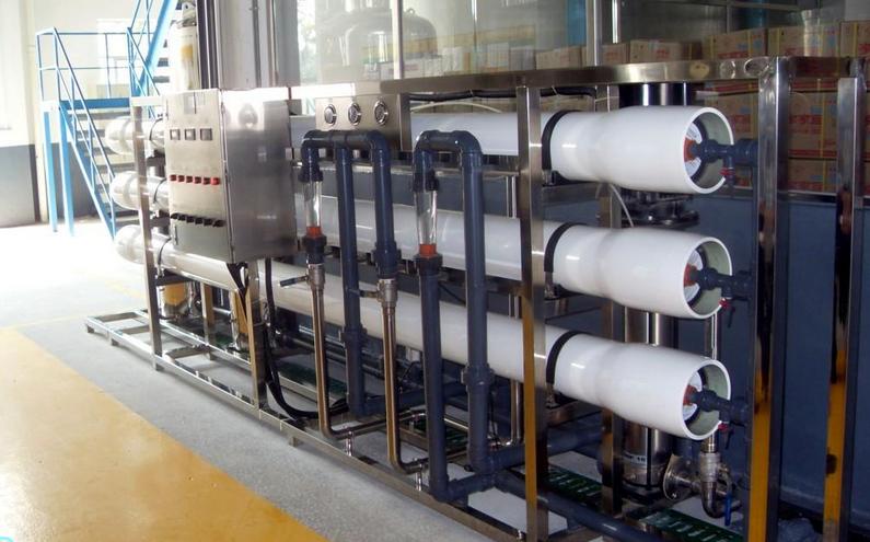 阜阳纯净水生产企业  二级反渗透纯水机 