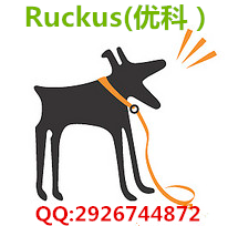 ruckus H320 优科901-H320-WW00