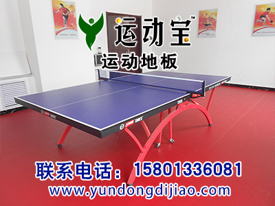 乒乓球场地板,乒乓球比赛专用地板,乒乓球场地板多少钱