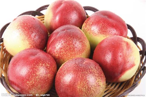 供应产地直销丽春油桃,早熟甜油桃品种,50以上油桃价格
