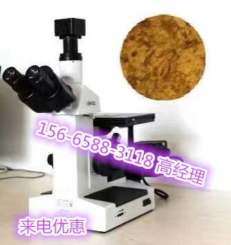 山东济南金相显微镜-优惠选购价格-进口品质