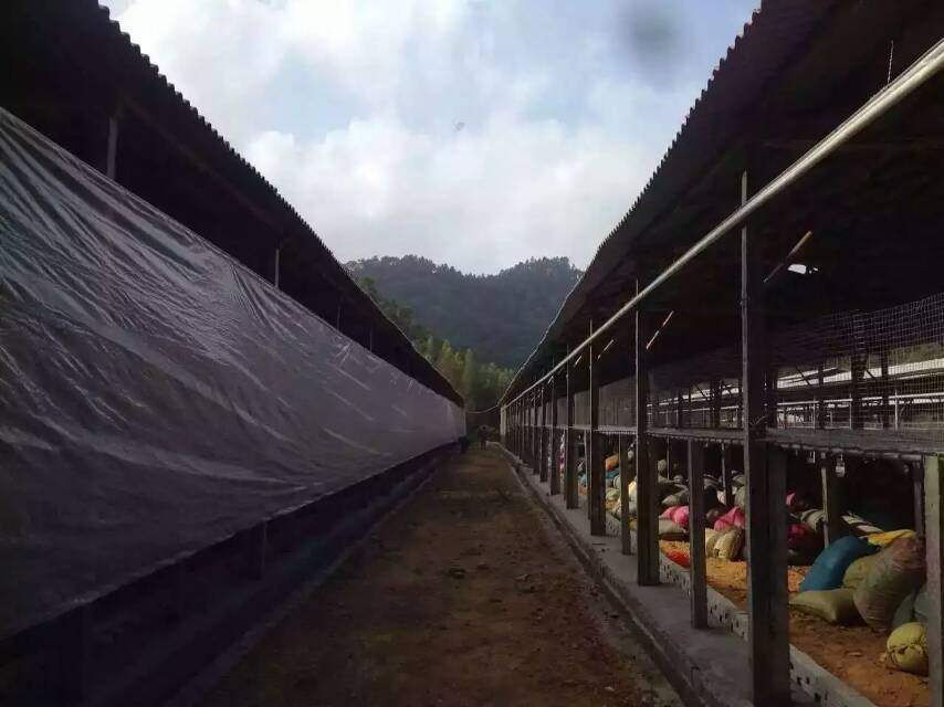 湖南永州 厂家供应批发定做养殖场卷帘布 猪场卷帘