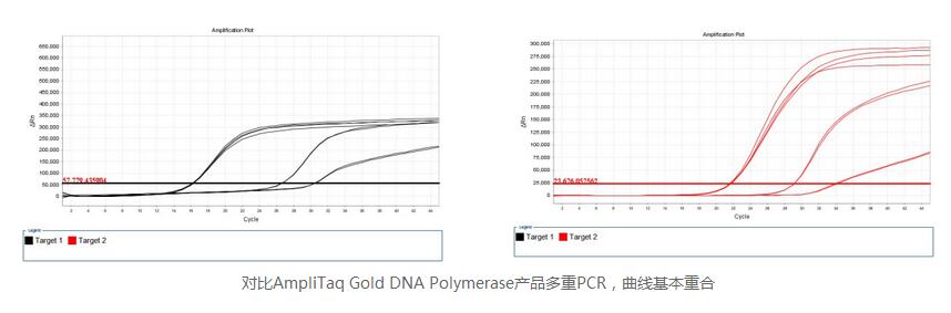 Golden Taq DNA 聚合酶价格低,同科生物品牌促销