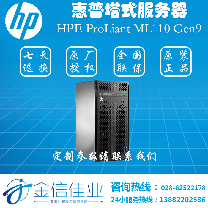 惠普(HP) HPE ML110 Gen9 入门级塔式服务器