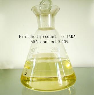 现货供应,藻油ARA40%正品保障