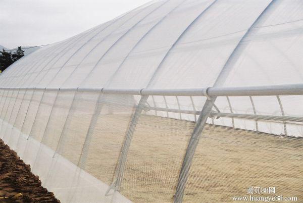 厂家热销园林蔬菜园艺花卉抗老化防虫网加密网农用温室大棚规格可定做