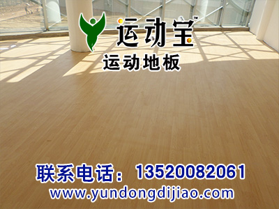 Pvc专业运动地板,健身用的地胶,体育馆用的塑胶地板。