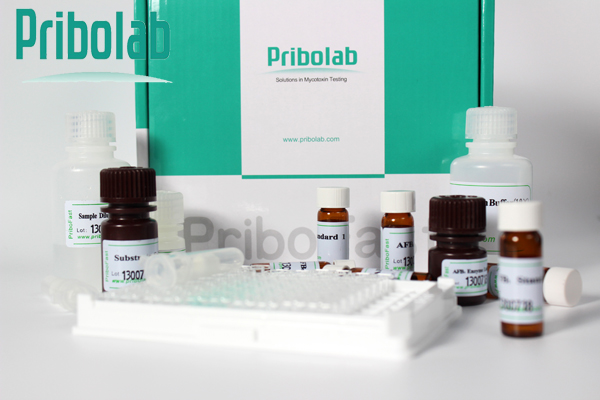 伏马毒素B1 ELISA 检测试剂盒