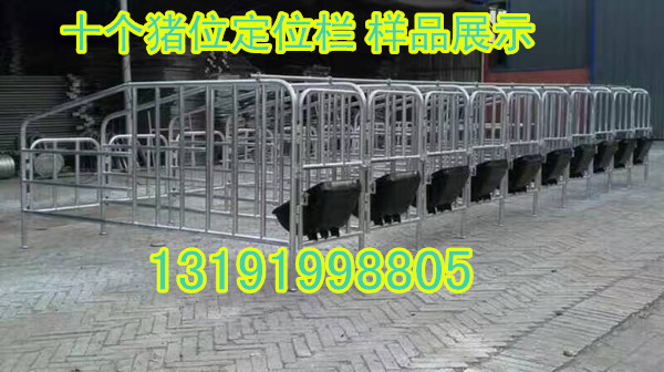 【世昌畜牧冯平】供应猪用设备母猪定位栏保胎栏