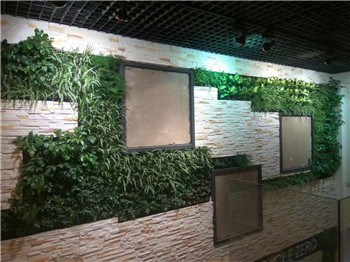 上海垂直绿化公司 垂直绿化合理报价 惜绿公司