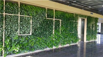 上海室内垂直绿化 惜绿公司 室内垂直绿化哪家好
