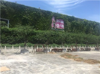 上海垂直绿化施工 垂直绿化施工解决方案 惜绿公司