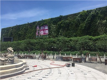 上海墙面垂直绿化 惜绿公司 墙面垂直绿化声誉可靠