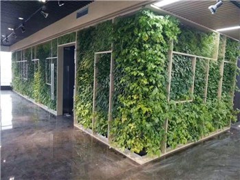 上海建筑垂直绿化 建筑垂直绿化服务站点 惜绿公司