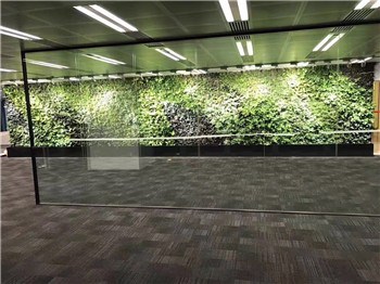 上海垂直绿化养护 惜绿公司 垂直绿化养护加盟商