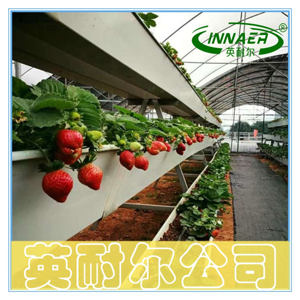 PVC新料草莓种植槽 无土基质栽培槽
