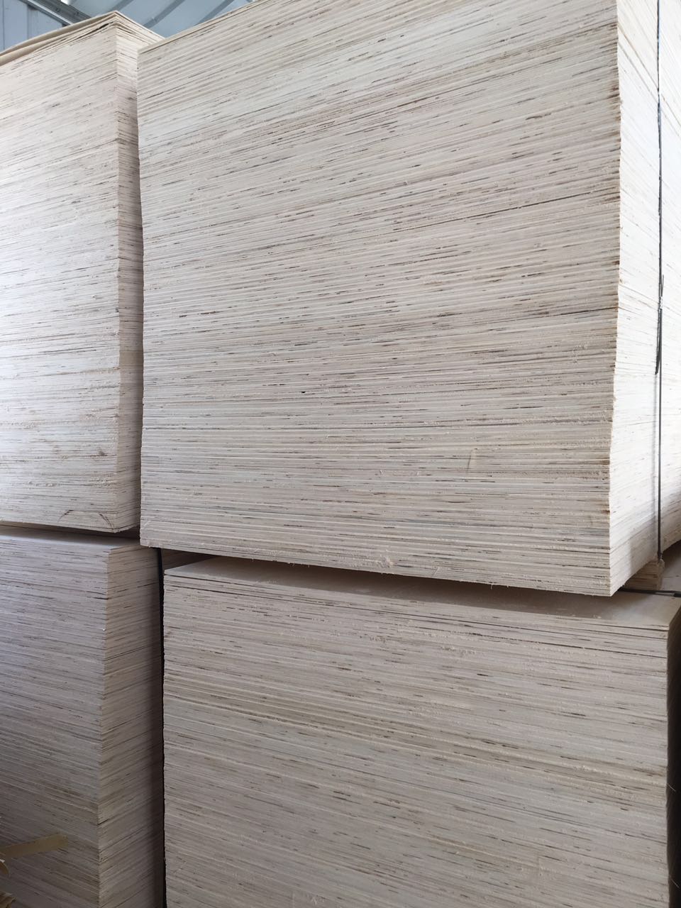 生产胶合板包装板漂白自然白杨木