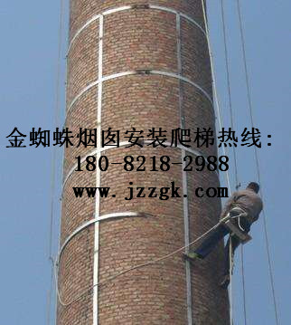 靖江市水泥烟囱安装旋转爬梯工程企业优