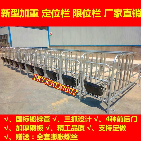 养猪设备生产厂家供应猪用定位栏母猪保胎限位栏质优价廉
