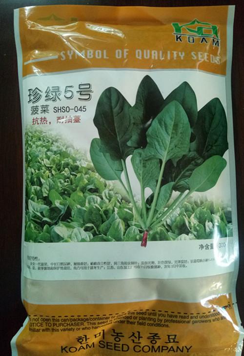 日本原装进口大叶菠菜种子珍绿系列