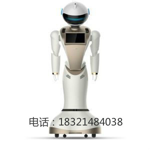 武汉智能机器人生产厂家