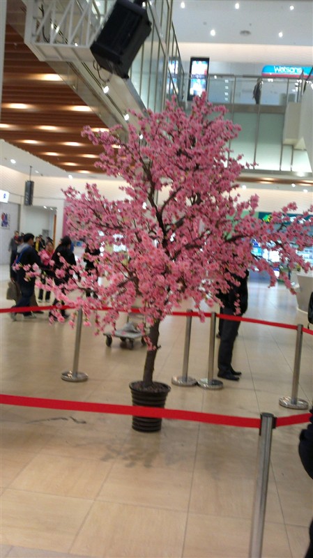 北京仿真树定做桃树出租价格