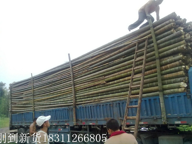 北京哪里有卖竹竿价格
