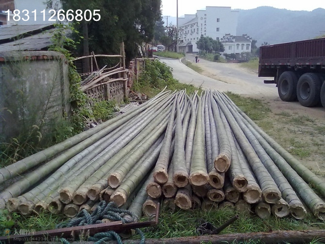 北京哪里有卖竹竿批发竹子价格