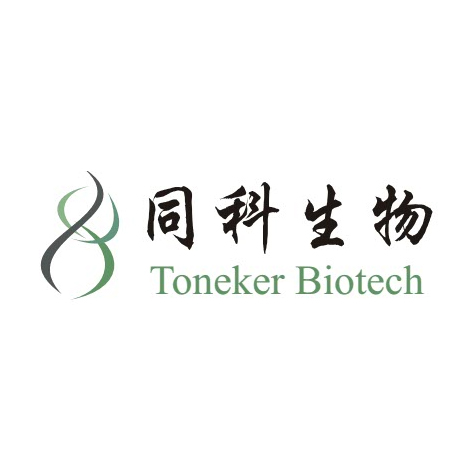 TonkBio cDNA 第一链合成试剂盒