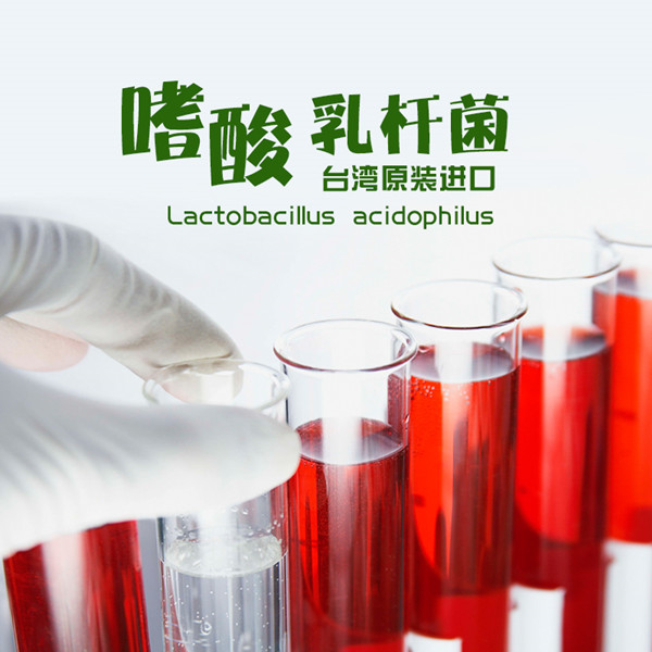 嗜酸乳杆菌 乳酸菌粉 保健品原料 台湾进口 亚芯品牌