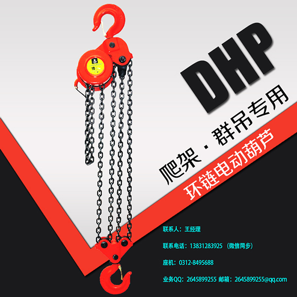 3吨DHY型环链电动葫芦专利技