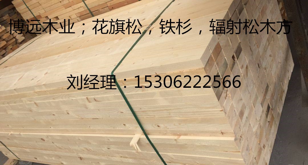 上海北美花旗松建筑木方