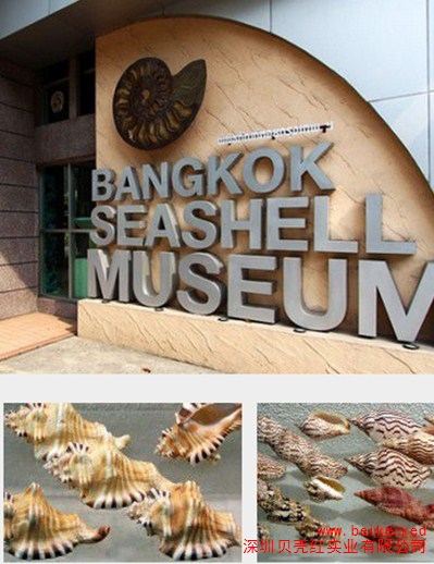 曼谷贝壳博物馆 曼谷贝壳博物馆介绍 贝壳红供