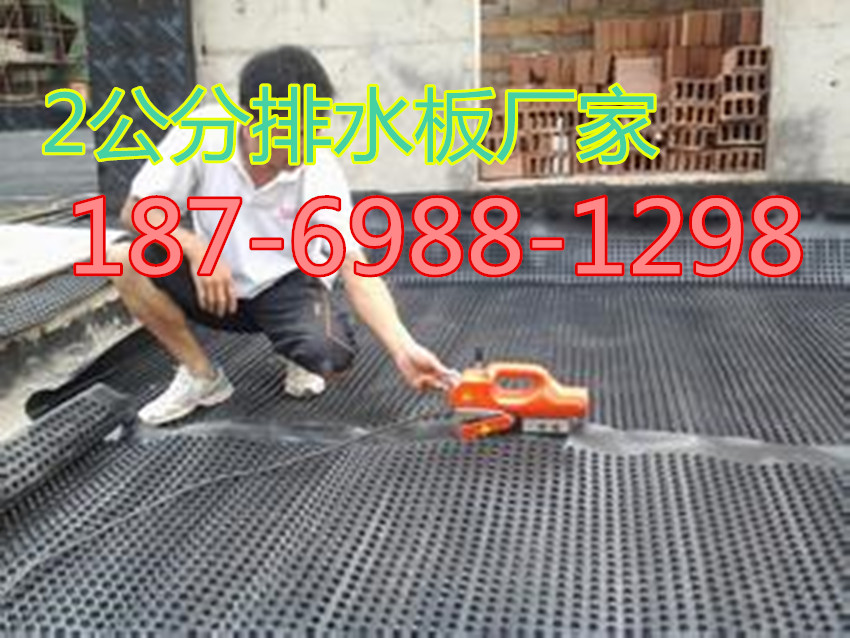 北京2公分屋顶花园专用种植排水板绿化防渗板