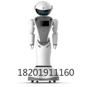 郑州学校/展馆服务机器人机器人公司
