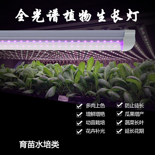 全光谱植物生长灯 t8植物灯 大棚蔬菜补光灯 t8一