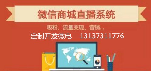 直播电商系统APP定制开发